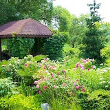 Romantyczny ogród